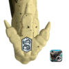 JurassicWorldRebirthDistortusRexIslandEscapeSetBoxFoot Jurassic World Rebirth Distortus Rex Island Escape Set